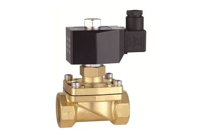 Клапан электромагнитный EV252WR, G 1 1/4, NBR, нормально закрытый, 0…10 бар, с катушкой 220В, 50 Гц