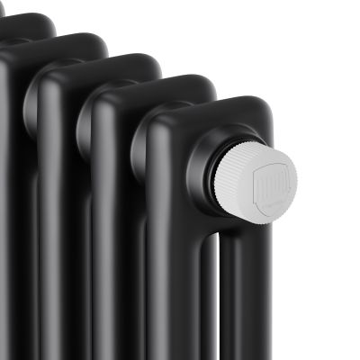 Дизайн-радиатор Royal Thermo Insignia VC2180 - 12 секц. RAL9005m