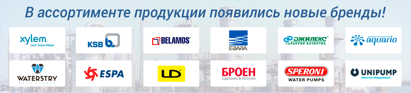 Новые бренды