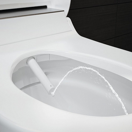 Подвесной унитаз-биде AquaClean Tuma Comfort: Керамический унитаз: белый / KeraTect, Декоративная панель: белый, Geberit