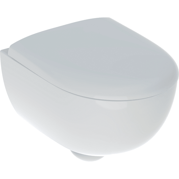 Комплект подвесного унитаза Geberit Renova Compact, с укороченным вылетом, закрытая форма, Rimfree, с сиденьем для унитаза: T=49см, Белый