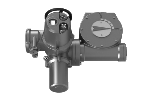 Электропривод AMB-M-45 + MY-6-1SD 220В без блока управл. IP67/IP65; для ШК RJIP DN600 станд.прох. или DN500 полн.прох, Ридан