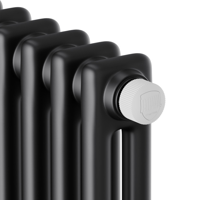 Дизайн-радиатор Royal Thermo Insignia VC2180 - 04 секц. RAL9005m