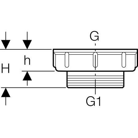 Переходник Geberit: G=2", Альпийский белый
