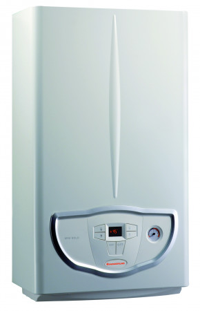 Настенный газовый котел,одноконтурный IMMERGAS Mini Eolo X 24 3 E