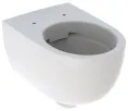 Подвесной унитаз вертикальный смыв Geberit Renova Comfort, увеличенной высоты, закрытая форма, Rimfree: T=53см, Белый