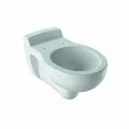 Детский подвесной унитаз Bambini, вертикальный смыв: T=53.5см, Белый, Geberit