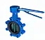 Дисковый поворотный затвор VFY-WH PN16 DN250 CI/EP/EPDM   