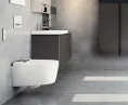 Подвесной унитаз-биде AquaClean Sela: Керамический унитаз: белый / KeraTect, Декоративная панель: белый, Geberit