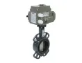 Затвор дисковый с электроприводом 082X4401R ЗДМ + 082X4500R АМБ + 082X4482R переходник 9/11 мм; DN 50 PN 16, Т= - 15°C до 120 °С, межфланцевый,  АМБ 220 В переменный ток, EPDM, корпус-чугун, диск-чугун, Ридан
