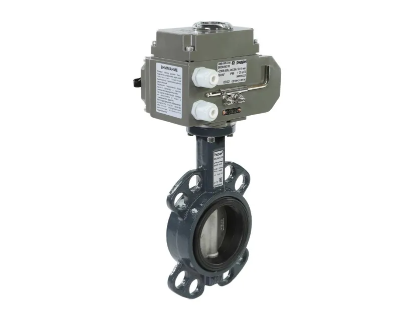 Затвор дисковый с электроприводом 082X4401R ЗДМ + 082X4500R АМБ + 082X4482R переходник 9/11 мм; DN 50 PN 16, Т= - 15°C до 120 °С, межфланцевый,  АМБ 220 В переменный ток, EPDM, корпус-чугун, диск-чугун, Ридан